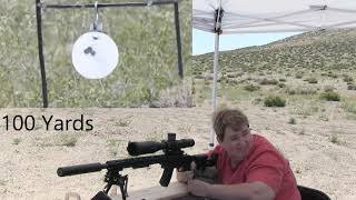 Ruger .17 HMR at 100 and 300 Yards