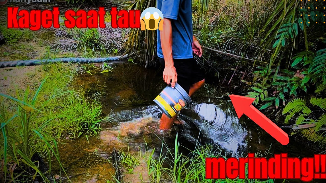 GAK NYANGKA❗️ SETELAH DIKURAS ISINYA BIKIN MERINDING!!😱