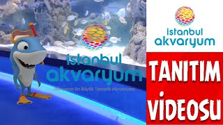 İSTANBUL AKVARYUM GEZİSİ I İSTANBUL AKVARYUM FLORYA