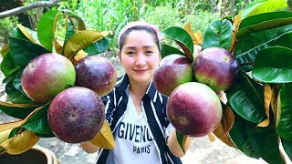 Yummy Star Apple Sweet  Star Apple Dessert  Cooking With Sros