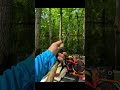 BASS ON A BEETLE SPIN