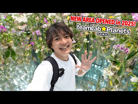 Exploring Tokyo’s New teamLab in Toyosu! Unique Noodles Experience in Odaiba Ep.579