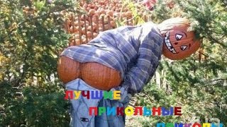 УБОЙНЫЕ РЖАЧНЫЕ ПРИКОЛЫ РУНЕТА САМОЕ НОВОЕ УЛЁТНОЕ ВИДЕО УБОЙНЫЕ РЖАЧНЫЕ ПРИКОЛЫ РУНЕТА САМОЕ НОВОЕ УЛЁТНОЕ ВИДЕО