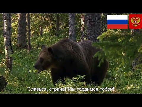 The National Anthem Of The Russian Federation