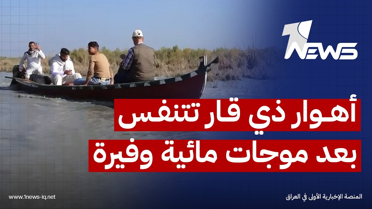 في اليوم العالمي لمكافحة الجفاف والتصحر.. انحسار خطر جفاف الأهوار بعد موجات مائية وفيرة