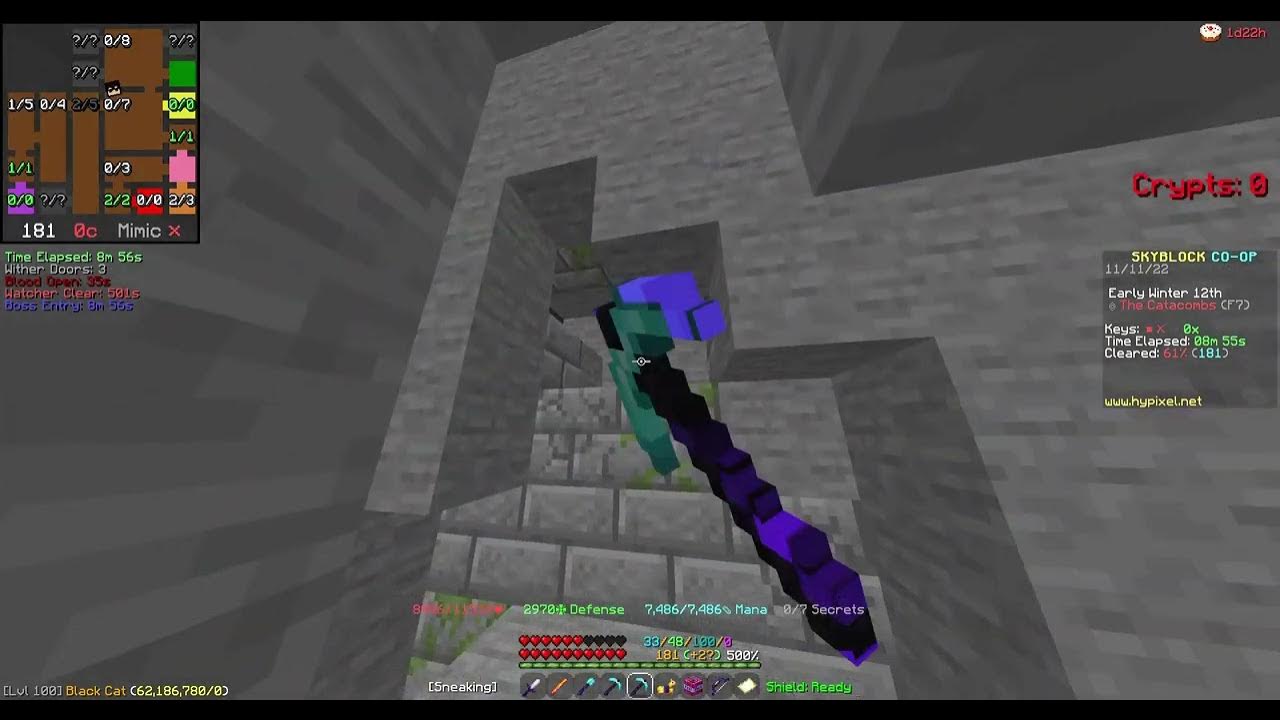 Shadow Fury Things (Hypixel Skyblock) YouTube