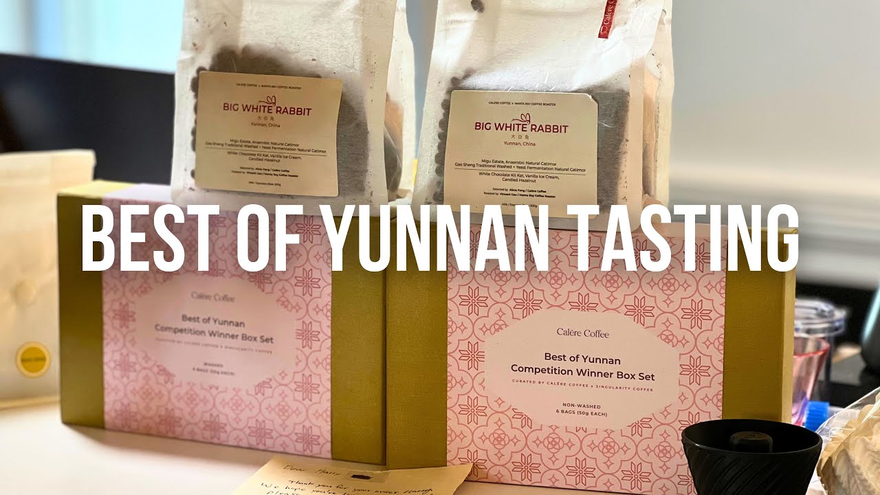 Best of Yunnan Coffee Tasting