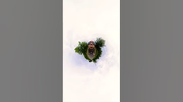 Insta 360 camera 😂😂 funny editing #automobile #funny #shorts #funnyediting #insta360 #dbd360rider #2