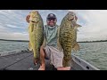 Fishing the post spawn transition bfs to topwater for big bass