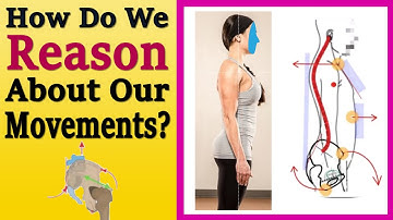 How Do We Reason About Our Movements?