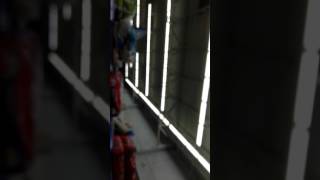 Bird in Walmart!!!