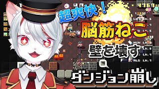 【ダンジョン崩し】爽快感抜群！？ダンジョン『破壊』シューティング！～脳筋ねこ、猪突猛進🔥～【女性実況】