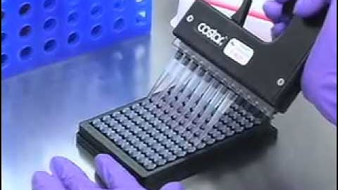 Oris Cell Migration Assay
