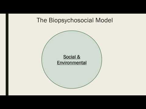 Биопсихологийн нийгмийн загвар