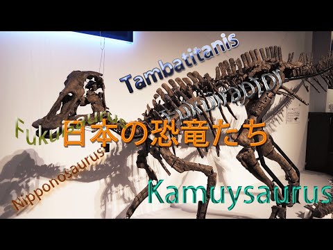 日本で発掘された恐竜の化石スライドショーのサムネイル