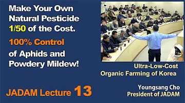 Jaká je doporučená dávka zelí?