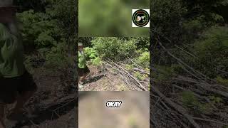 Hiking Trail Adventure: Finding Walking Sticks & Exploring Nature #shorts