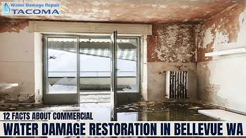 12 Facts about Commercial Water Damage Restoration in Bellevue WA