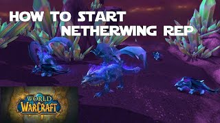 How to Get Started with the Netherwing Faction and Get your Netherwing Drake!