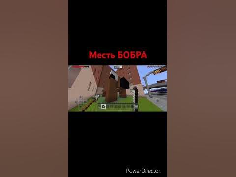 Месть БОБРА #shorts #майнкрафт #видео #подпишись #бобёр #бебра - YouTube