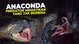 Mengenal Jenis Ular Terbesar Penghuni Hutan Amazon yang Doyan Menelan Manusia #ANACONDA