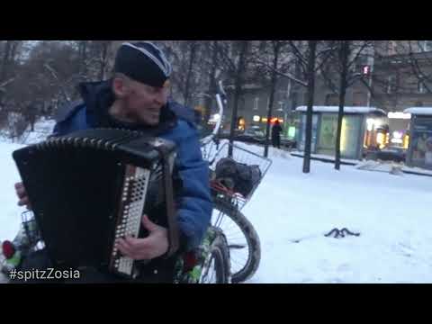 Video: Di cosa sono fatte le vernici?