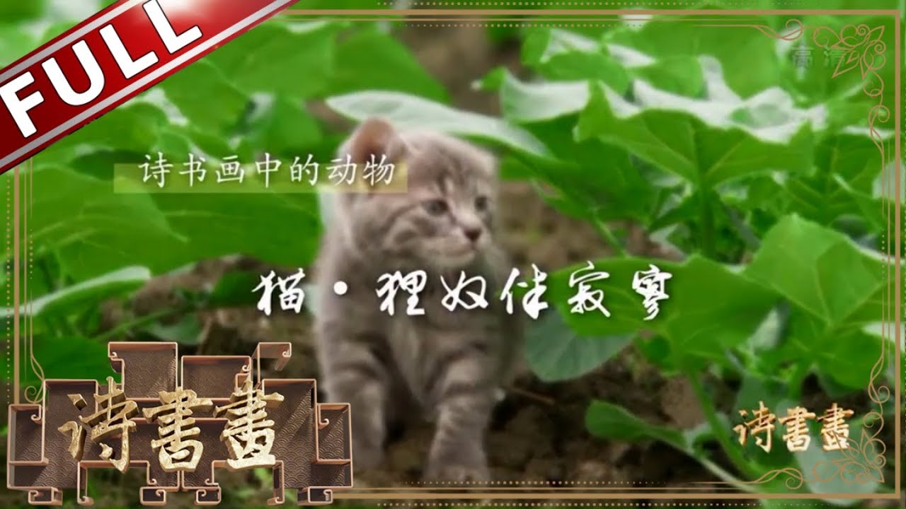 诗书画 双面陆游十一月四日风雨大作不仅有铁马冰河还有抱猫取暖 东方卫视官方高清hd Youtube 诗书画 双面陆游十一月四日风雨大作不仅有铁马冰河还有抱猫取暖 东方卫视官方高清hd Youtube