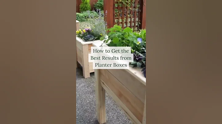 5 Easy Tips for Gardening in Planter Boxes 🍓🥒👇 - DayDayNews
