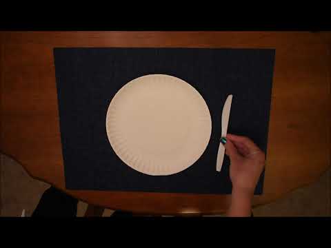 SPCE 683 Video Modeling Assignment