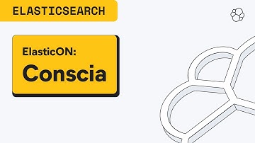 ElasticON Customer Session: Hacking to dig through your business data