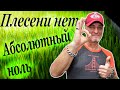 Пшеница без плесени. Ситиферма Зеленый Босс.