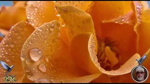 016 Surat AnNahl القران الكريم بصوت محمود خليل الحصري سورة النحل
