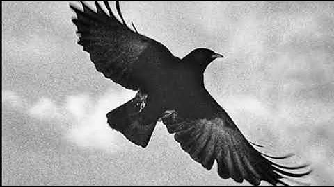 Chapter 7 - Cersei 2 - A Feast for Crows | A Song of Ice and Fire (ASOIAF)