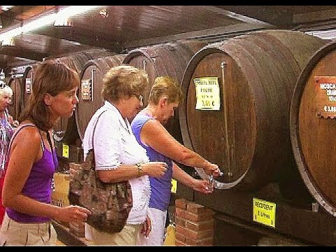 Побережье Коста Брава. Экскурсия в винный погреб. Costa Brava. Excursion in the wine cellar