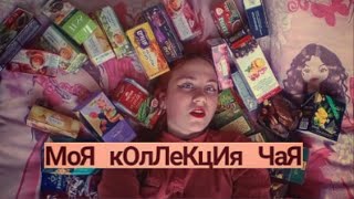 мОя КоЛлЕкЦиЯ чАя/больше чем 30 пачек чая?