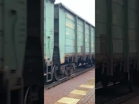 Звучный перестук вагонов