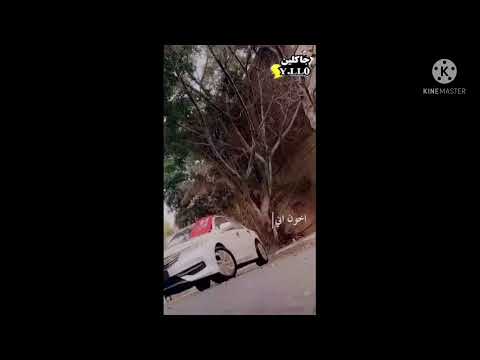 بيا العالم تسلت 