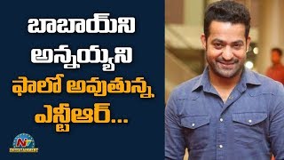 Jr NTR to Start a Production House ? | Box Office | NTV ENT