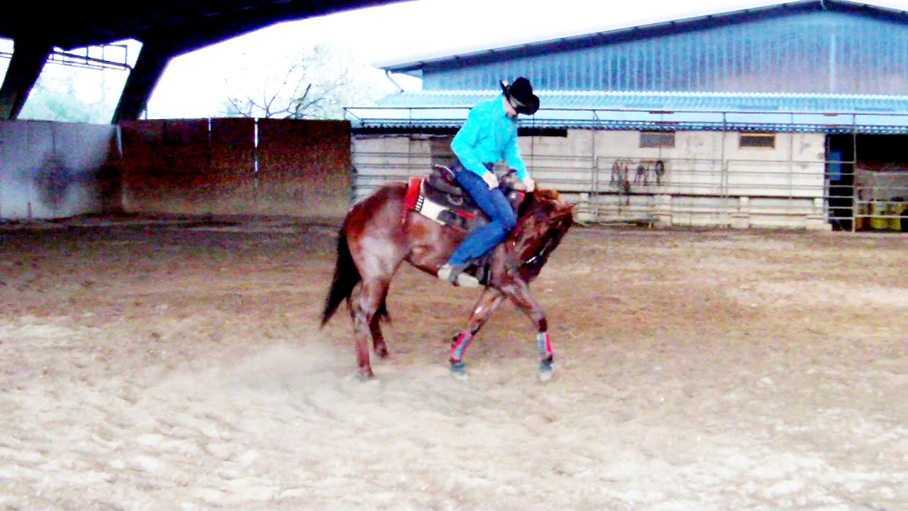 Esercizi in sella - Disimpegno del posteriore