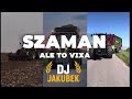 Paluch - Szaman Ale to Vixa (DJ Jakubek)