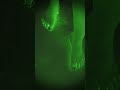 bhoot wala video#parrot sound effect#bhoot sound#ghost sound#daravani awaaz#chudail#horror shorts