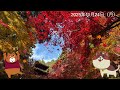 湖東三山で紅葉狩♫ 金剛輪寺で！血染めの紅葉を堪能♫😺