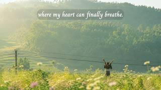 where my heart can finally breathe./ a playlist for quiet hours/