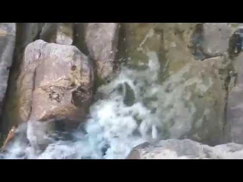 زاوية أي ناس جماعة تانسيفت إق ليم زاكورة