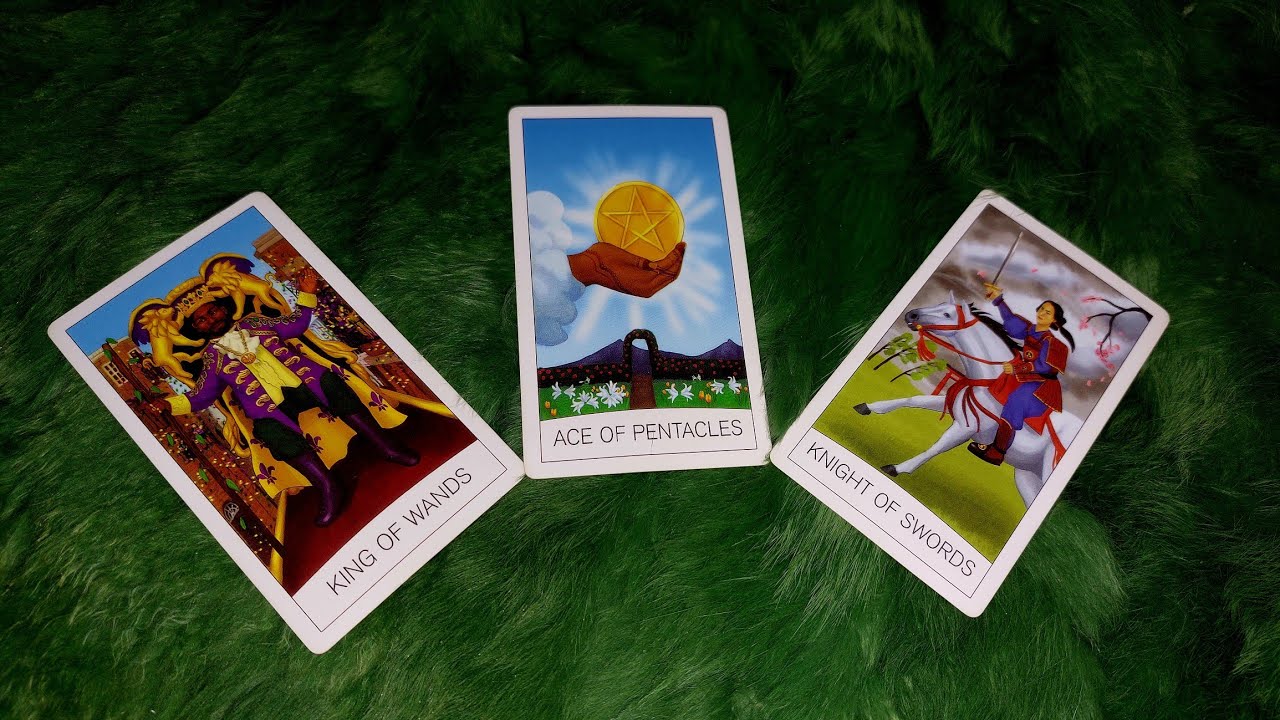 Каковы их дальнейшие планы?