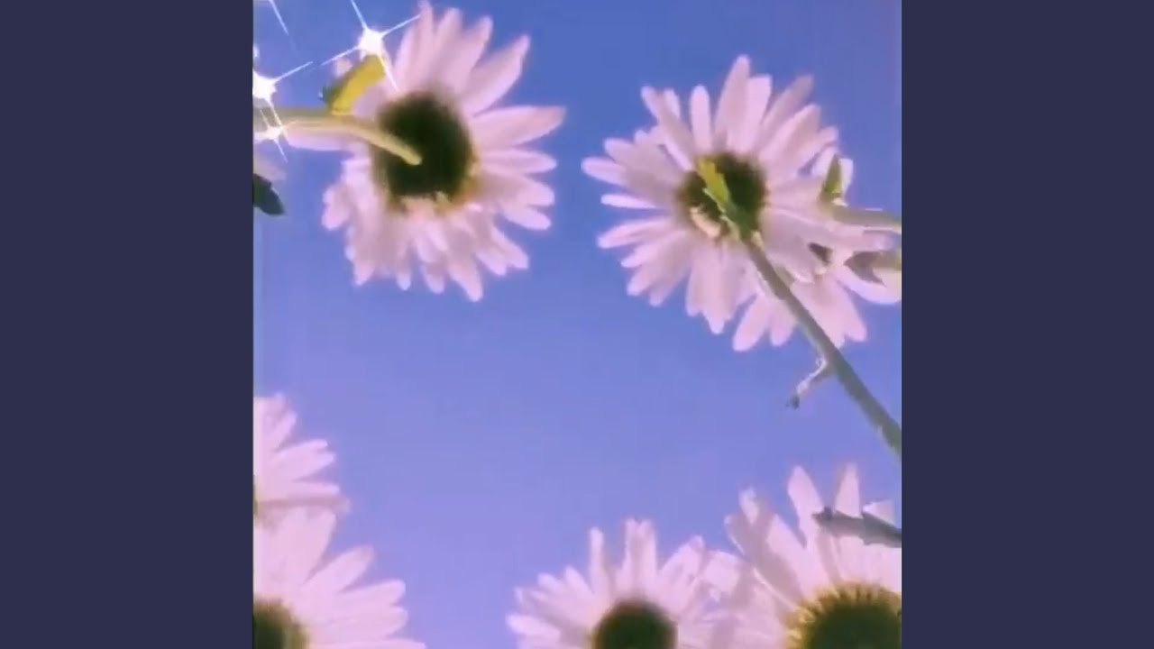 Watch WILTING on YouTube Watch WILTING on YouTube