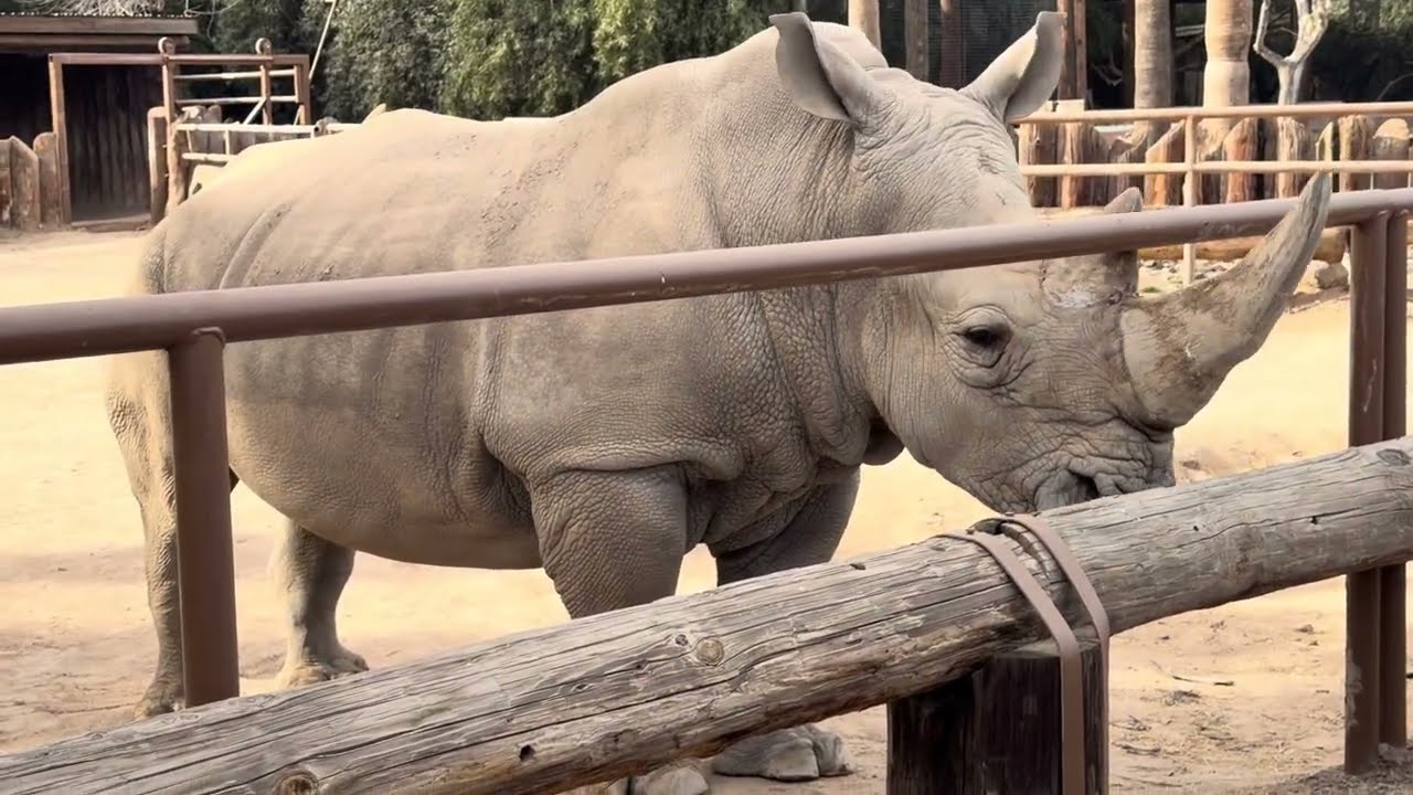 Wildlife world zoo in Glendale, AZ