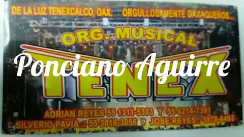 Organizacin Musical ''TENEX'' - Ponciano Aguirre