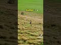 Funny Videos Make Your Day HAPPY 