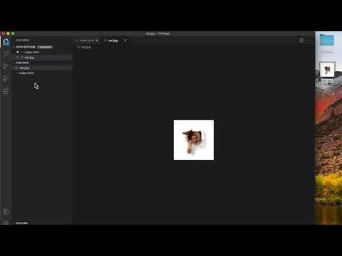 HTML CSS入門講座｜imgタグで画像を表示しよう